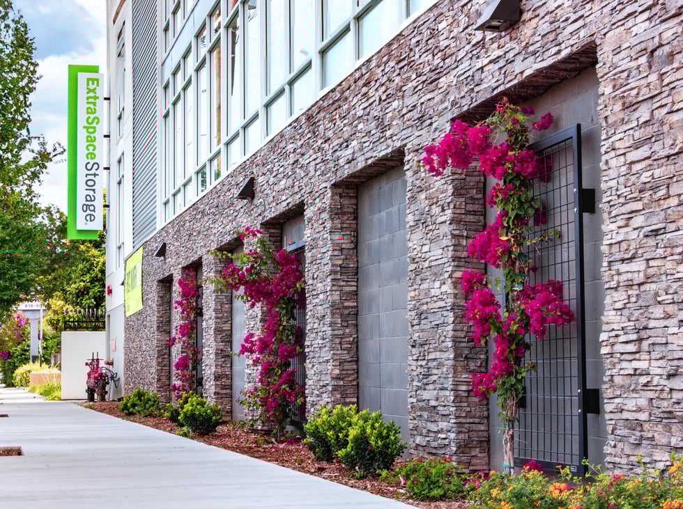 NatureScreen_ExtraSpaceSelfStorage_LosAngelesCA_014