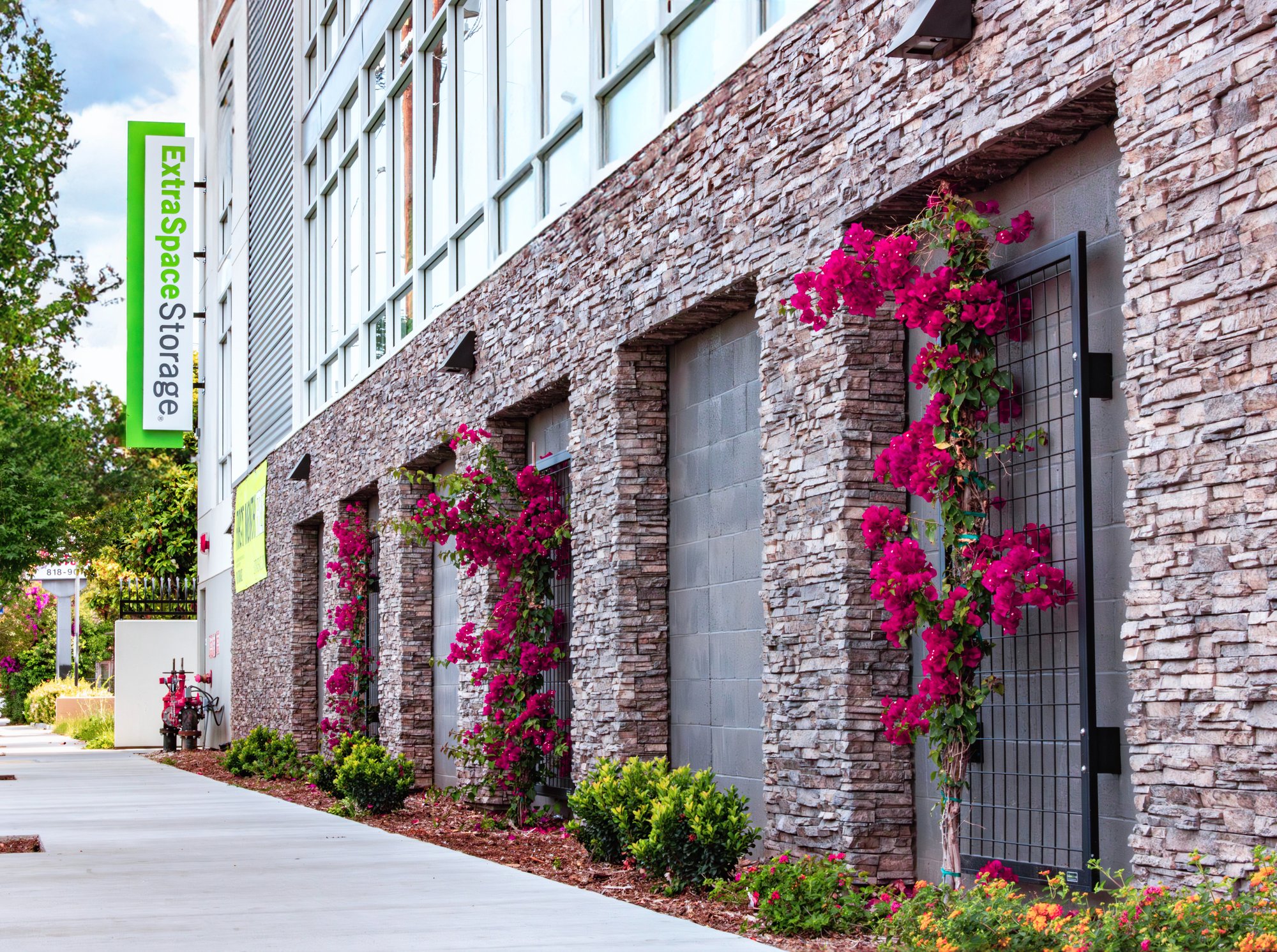 NatureScreen_ExtraSpaceSelfStorage_LosAngelesCA_014