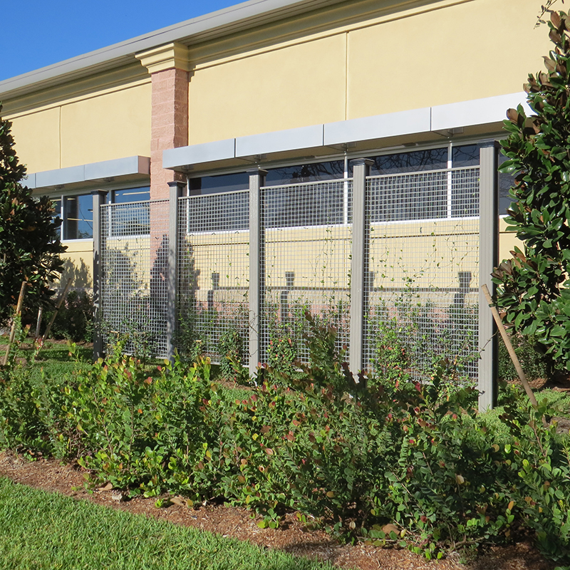 NatureScreen_Aldi-Naples_0009
