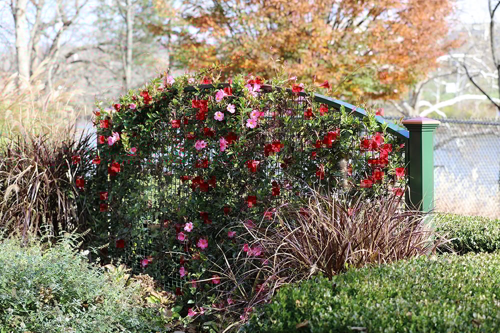 NatureScreen_Residential-HilliardOH_0036