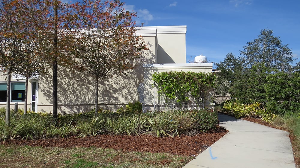 NatureScreen_SunTrust-Bank-Casselberry_0013