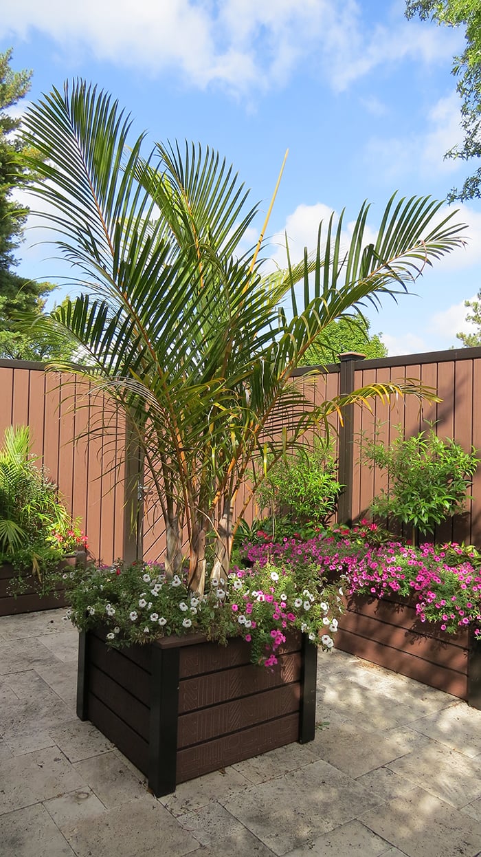 PlanxPlanters_HQ-Patio-S20_0253