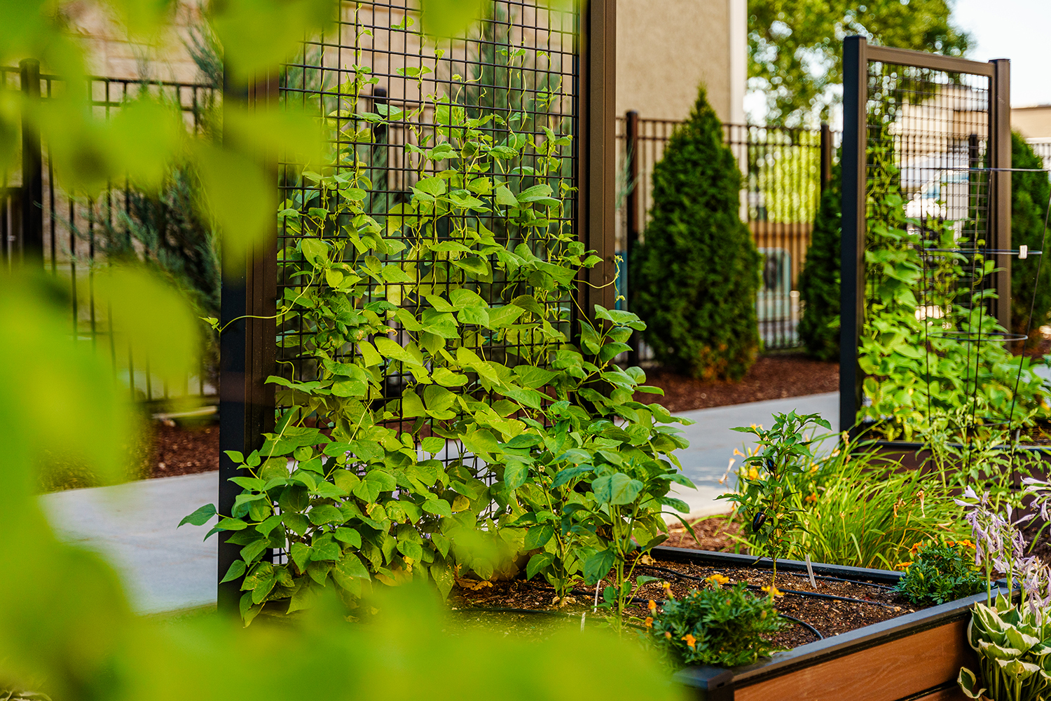 PlanxPnaters_RonaldMcDonaldHouse_BoiseID_042