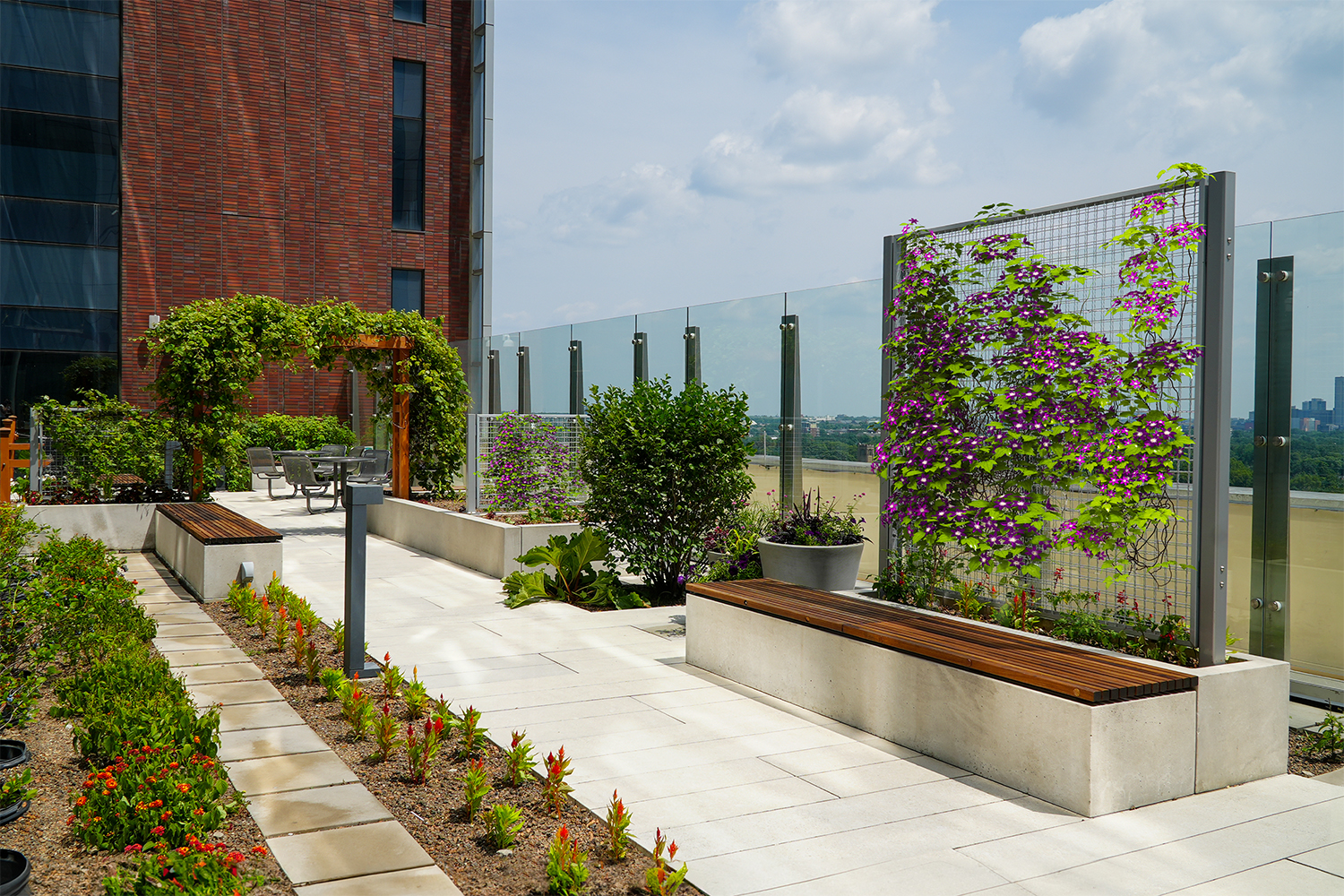 NatureScreen_OSUMedical_ColumbusOH_02