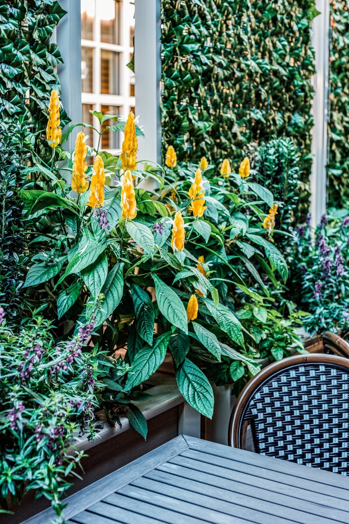 CityScapes_PeninsulaPrime_CorneliusNC_0005