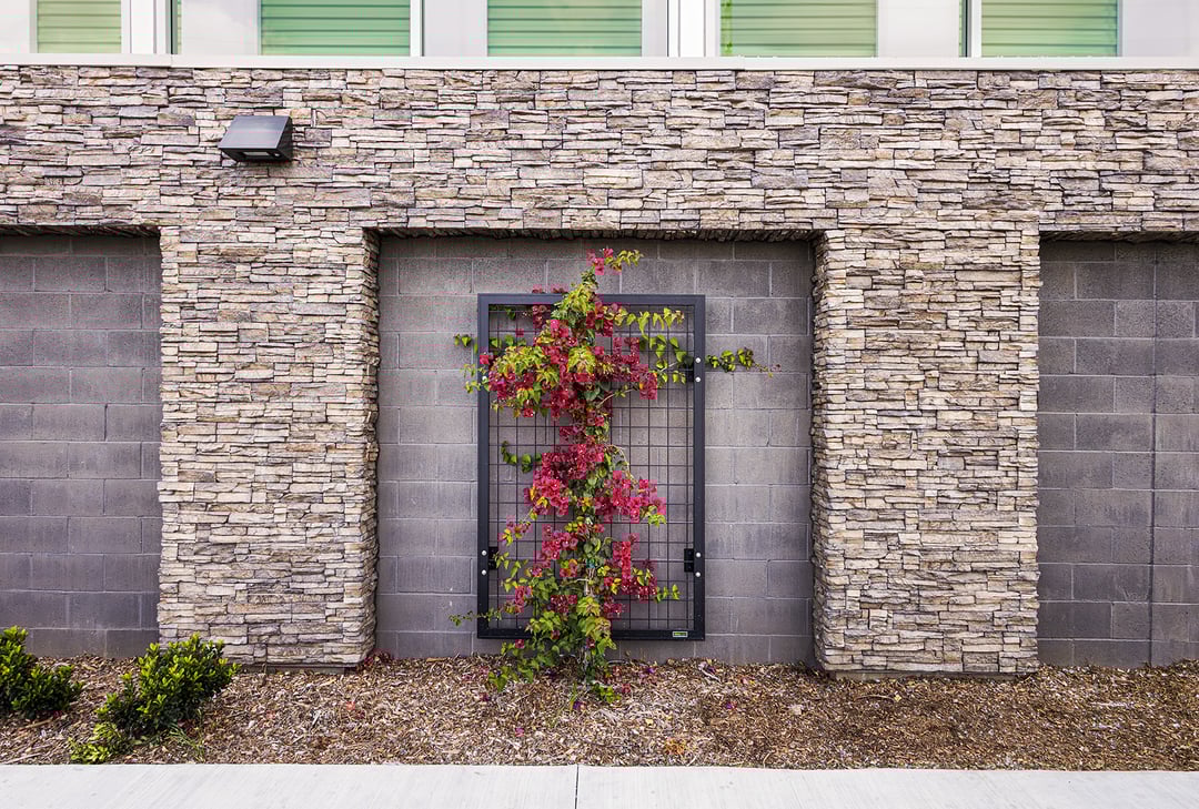 NatureScreen_ExtraSpaceSelfStorage_LosAngelesCA_006_Edit