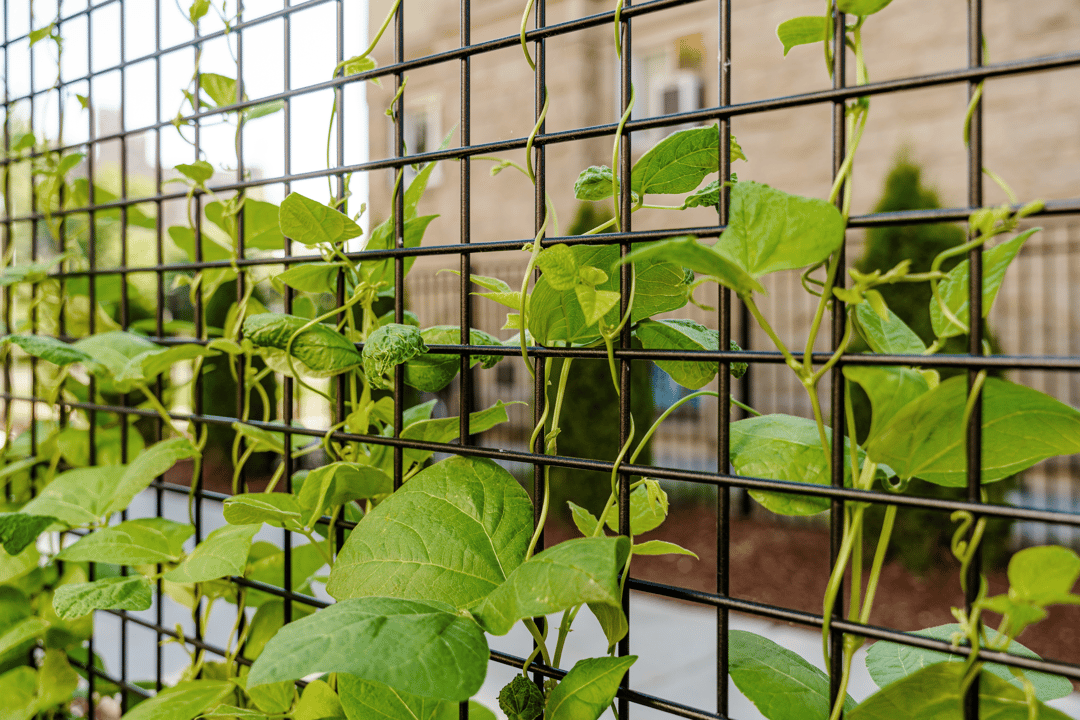 PlanxPnaters_RonaldMcDonaldHouse_BoiseID_035