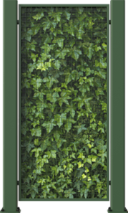Covrit_NatureScreen-GMT_Ivy_0001